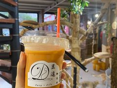 -豆逗聊愈猫阁Easy Life