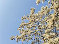 -人民广场