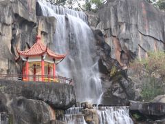 -金鸡山公园