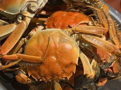 -比尔森韩式烤肉自助(绿园店)