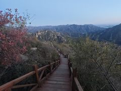 -大岭沟猕猴桃谷风景区