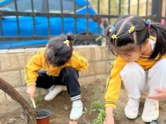 -立城苑小金星幼儿园