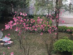 -芳村(地铁站)