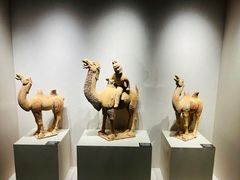 -中国农业博物馆