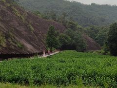 -雁荡山大龙湫景区
