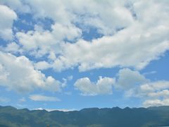 -武陵山森林公园