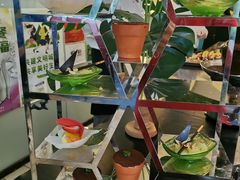 -亮马河饭店翠雅咖啡厅