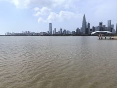 -深圳湾公园(南山区)