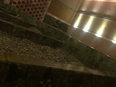 -大连金石滩绿发温泉假日酒店