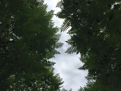 -洨河生态公园