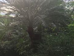 -龙达温泉生态城