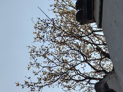 -宁波市保国寺古建筑博物馆