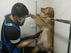 -瑞派宠物医院·24小时骨科·心脏·核磁(哈尔滨南岗店)