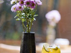 -扫雪煮茶(西村店)