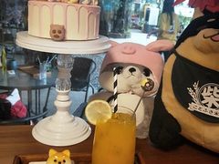 -柴犬高等学院·狗咖·柴犬售卖·宠物训练