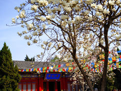 -西安市广仁寺