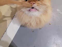 -小时光咖啡馆(开森度假森林店)