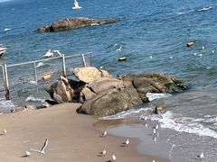 -老虎石海上公园