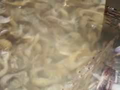 -盒马鲜生(枣园路店)
