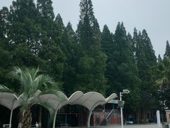 -五七小李子油焖大虾(总店)