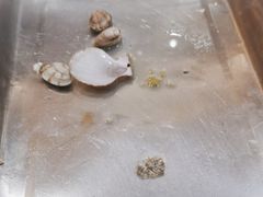 -海岛渔村大酒店(云霄路店)