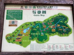 -西双版纳原始森林公园