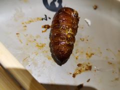 -小俩口烧烤东北菜(双井店)