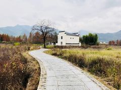 -塔川景区