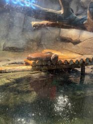 -Zoolung Zoolung动物主题公园(海信广场店)