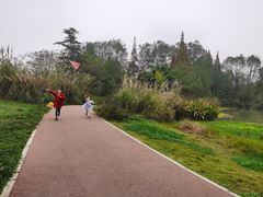 -桤木河湿地公园