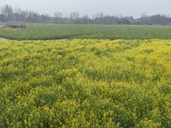 -中国天府农业博览园