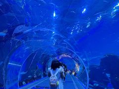 -成都浩海立方海洋公园