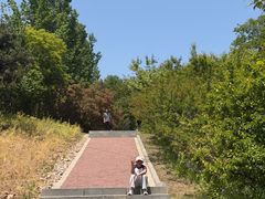 -娲皇宫