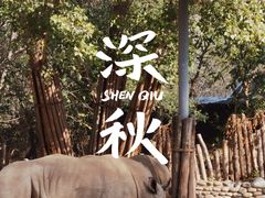 -北京野生动物园