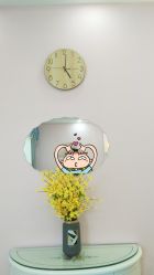 -痘庄科学祛痘皮肤管理国际连锁