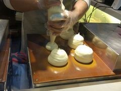 -狐狸和向日葵(北京路店)