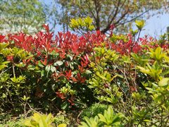 -上海交通大学医学院附属仁济医院(南院)