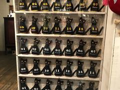-猫咪博物馆(顶澳仔猫街店)