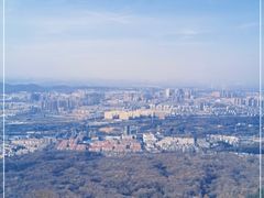 -紫金山山顶公园