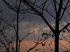 -火炉山森林公园