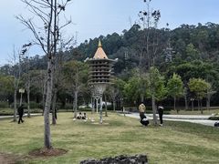-顺峰山公园