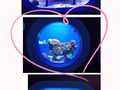 -上海海昌海洋公园