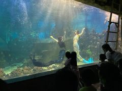 -嘉兴海底世界