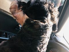 -宏光宠物医院(解放东路店)