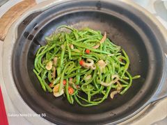 -潇湘府•湘菜领军品牌(望京店)
