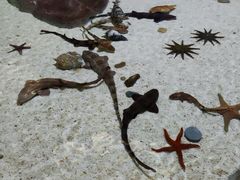 -福州罗源湾海洋世界旅游区