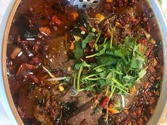 -一品粤珍轩(吴中路店)