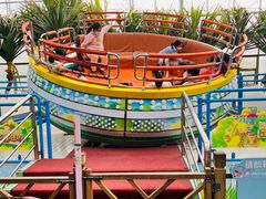 -南宫五洲植物乐园