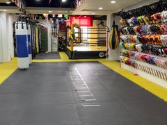 -成泰格斗(环球商业广场店)
