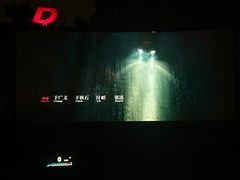 -枫花园汽车电影院(朝阳公园店)